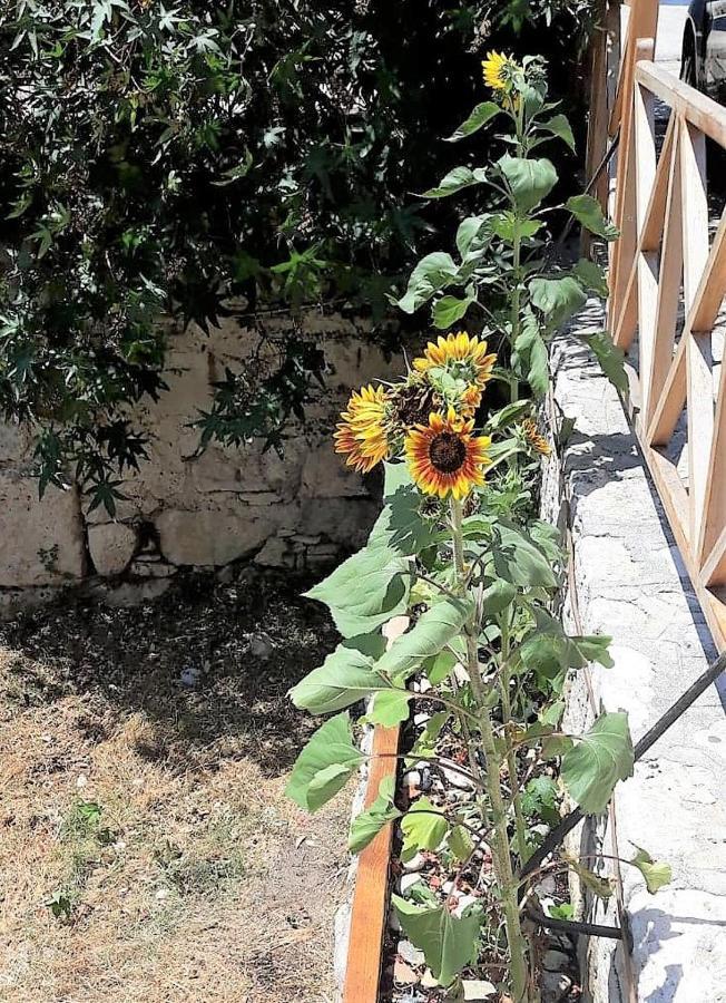 Stratos Hotel Pythagorion Dış mekan fotoğraf